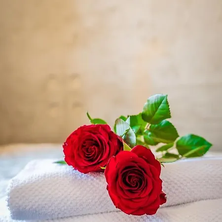 Διαμέρισμα Sobieskiego 2a Parking Gratiss