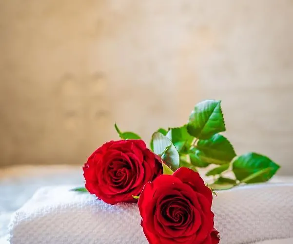 شقة Sobieskiego 2a Parking Gratiss